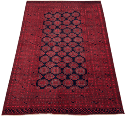 Kunduz Rug - 315 cm x 206 cm