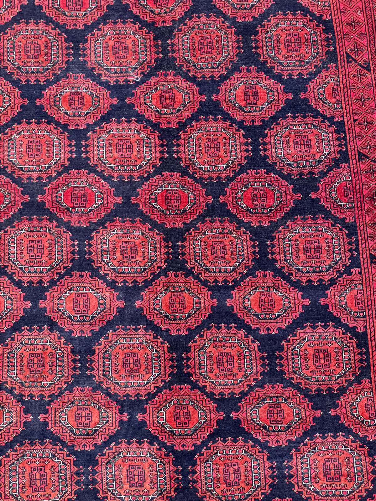 Kunduz Rug - 315 cm x 206 cm