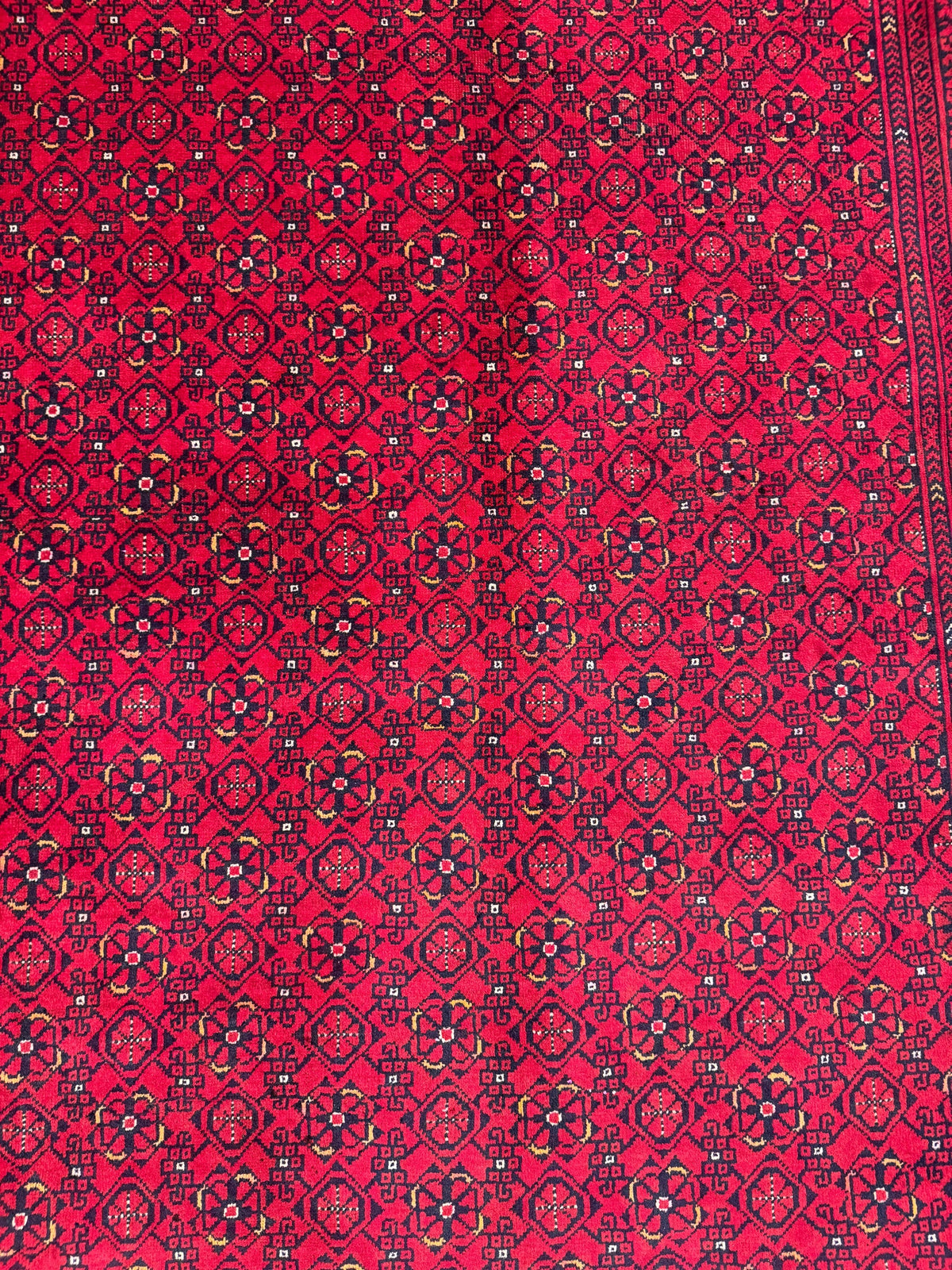 Kunduz Rug - 291 cm x 195 cm