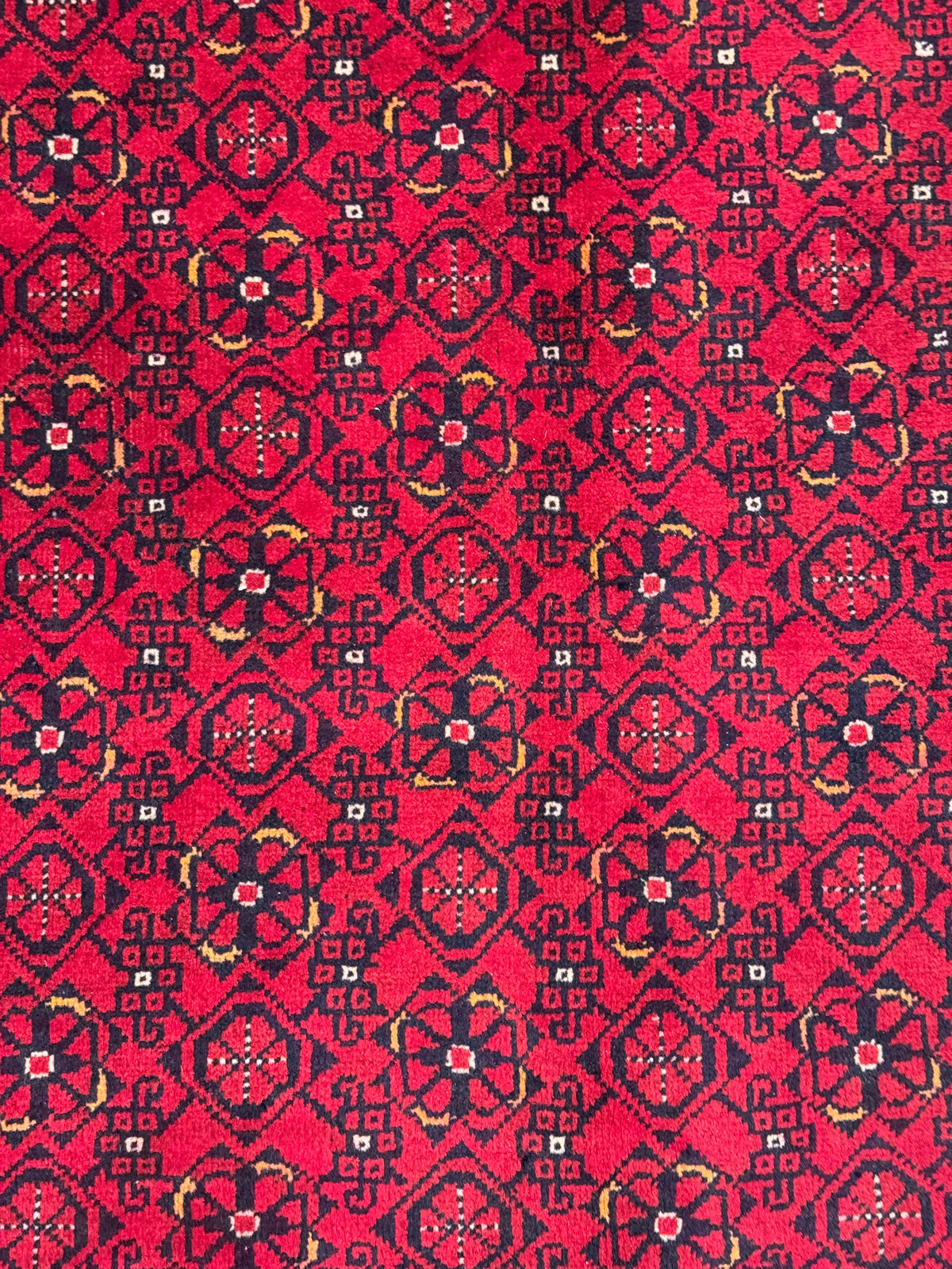 Kunduz Rug - 291 cm x 195 cm