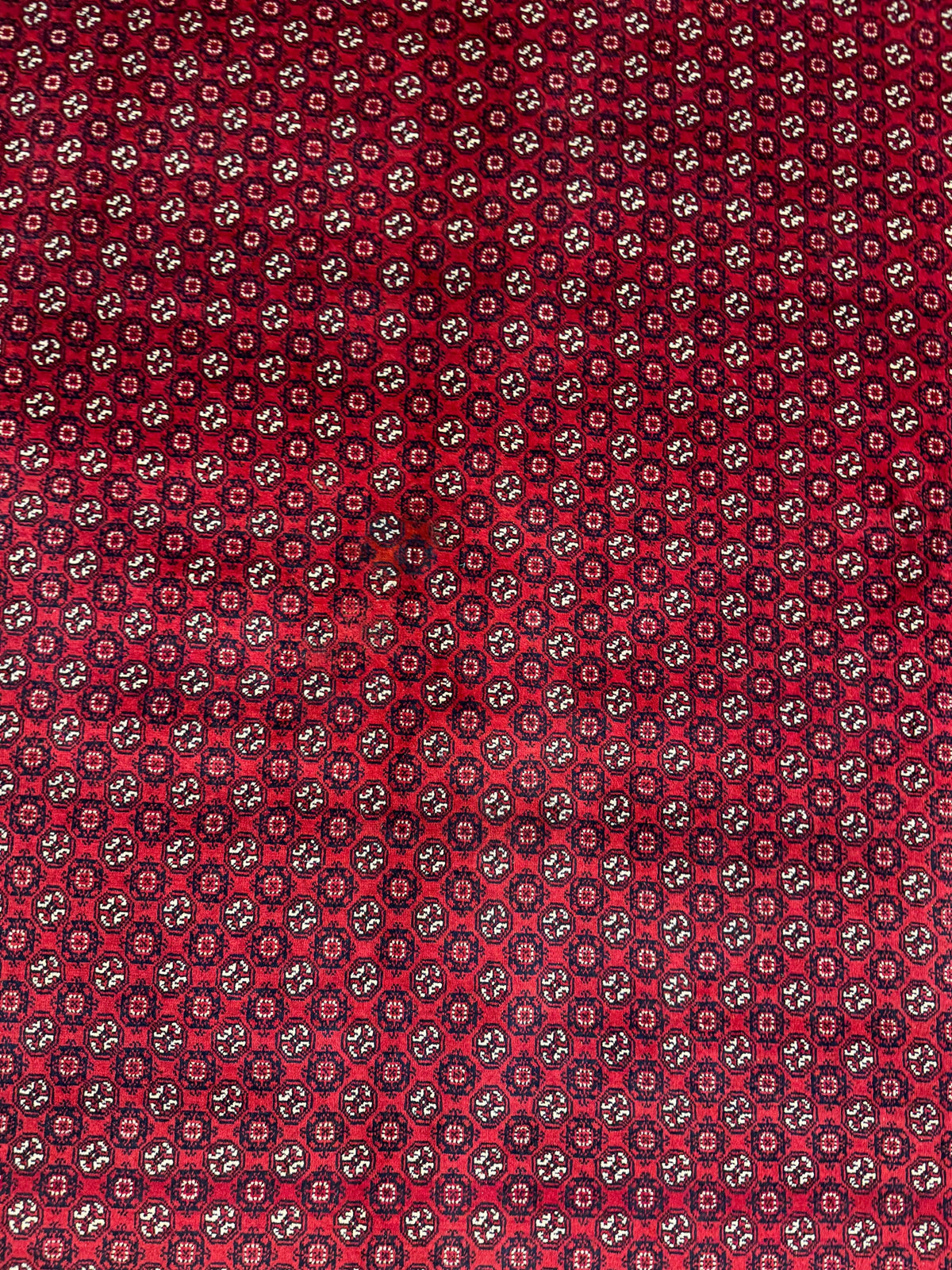 Roshnai Rug - 286 cm x 198 cm