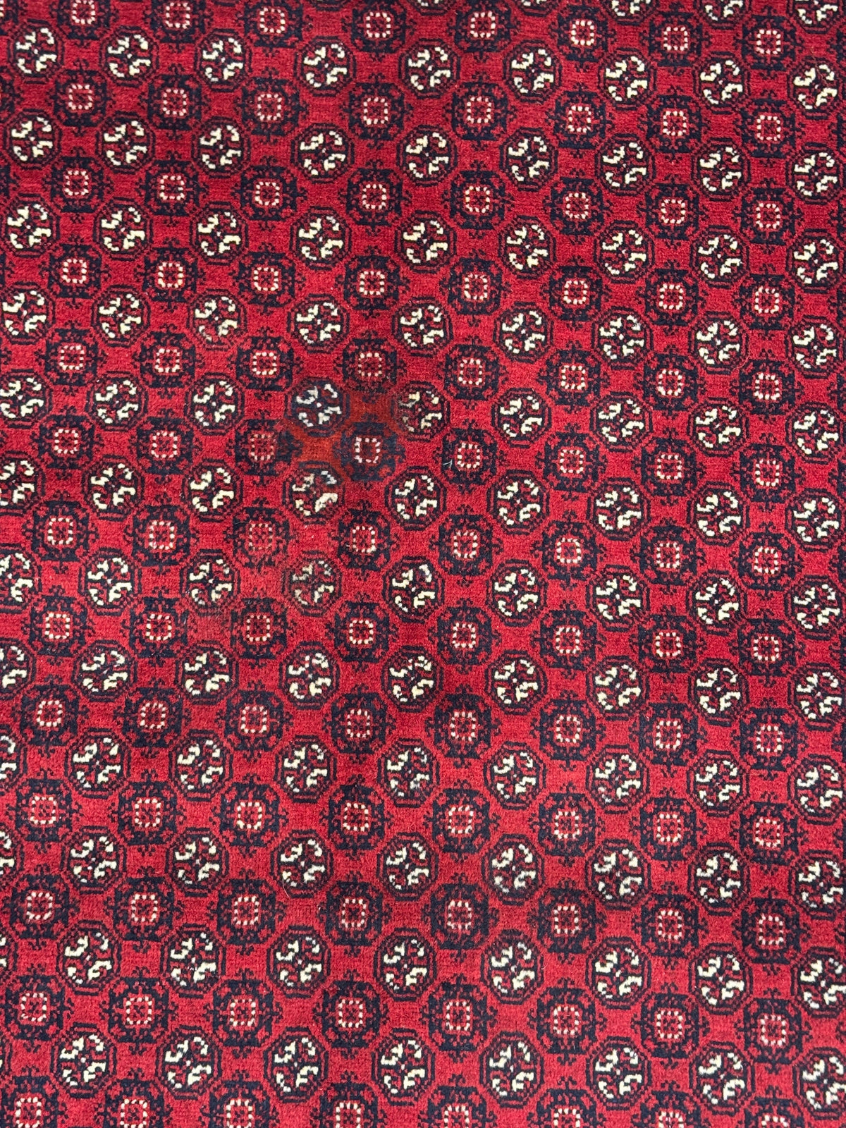 Roshnai Rug - 286 cm x 198 cm