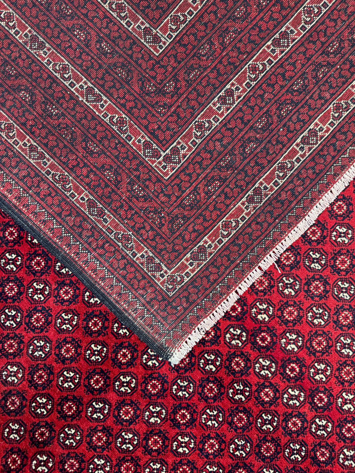 Roshnai Rug - 286 cm x 198 cm