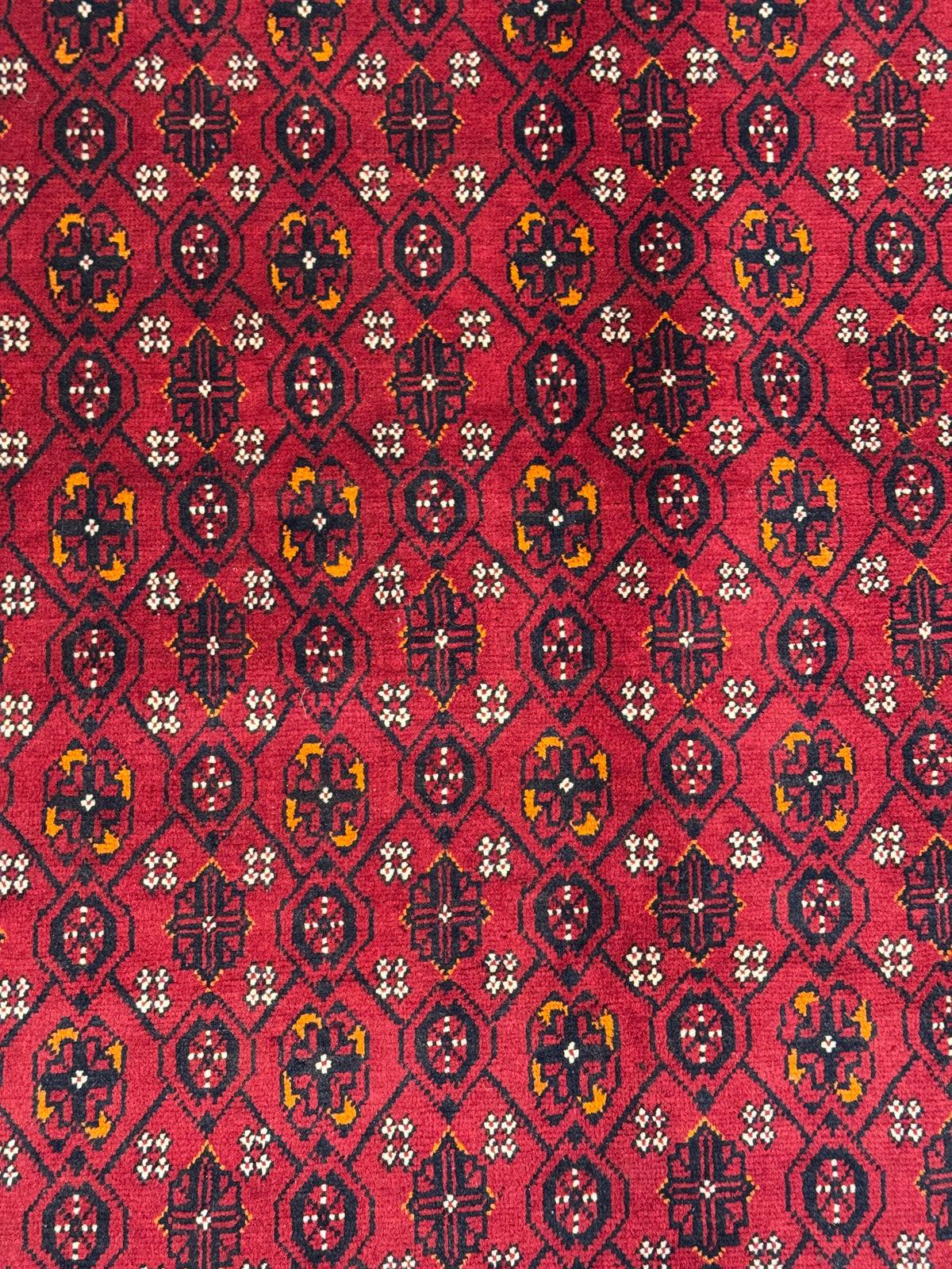 Kunduz Rug - 280 cm x 199 cm