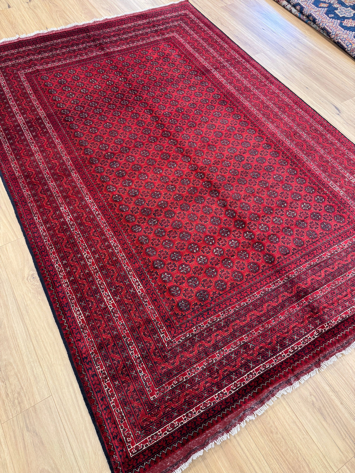 Roshnai Rug - 293 cm x 198 cm