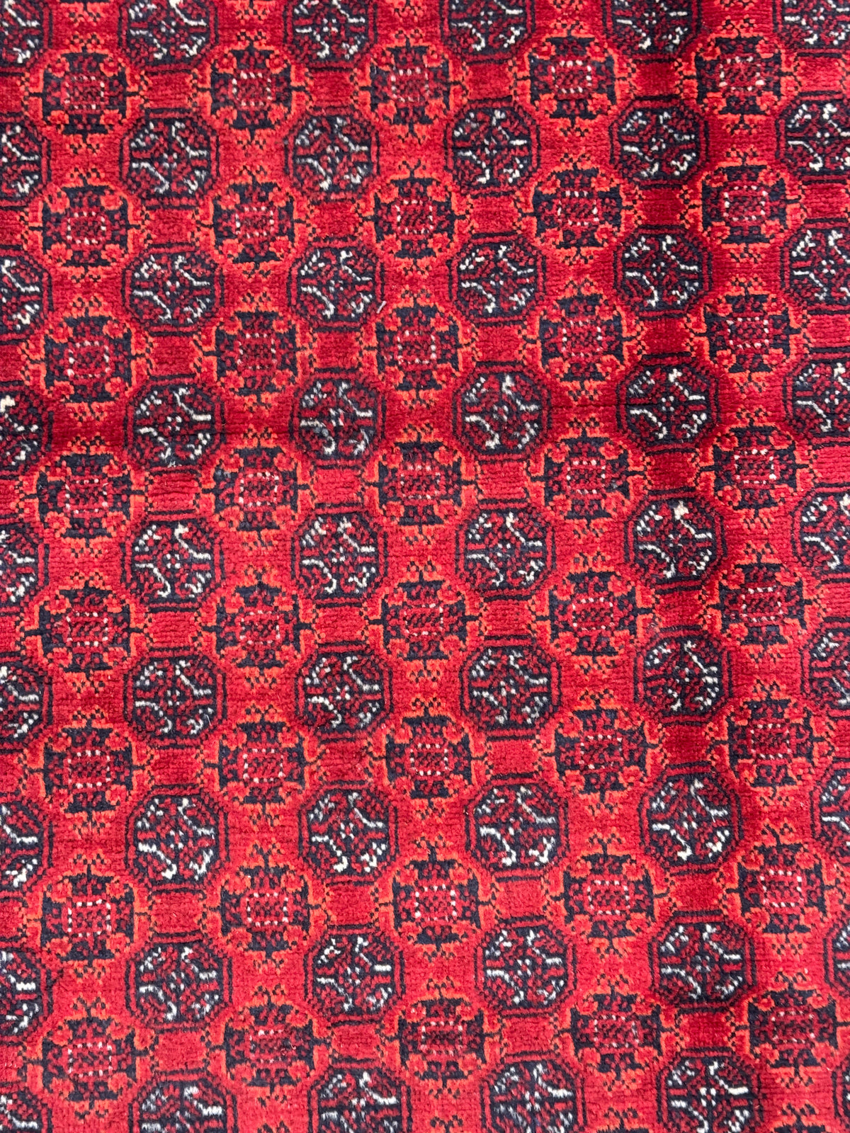 Roshnai Rug - 293 cm x 198 cm