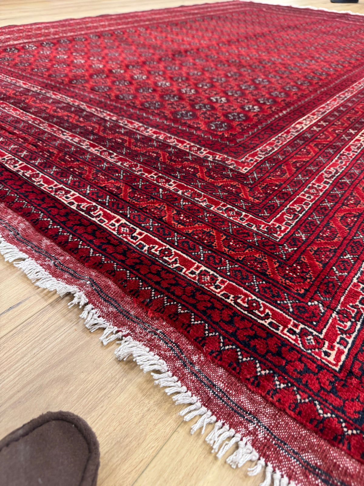 Roshnai Rug - 293 cm x 198 cm