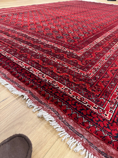 Roshnai Rug - 293 cm x 198 cm