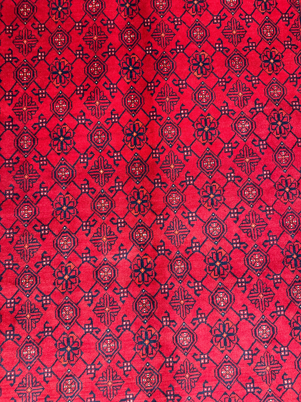 Kunduz Rug - 307 cm x 199 cm