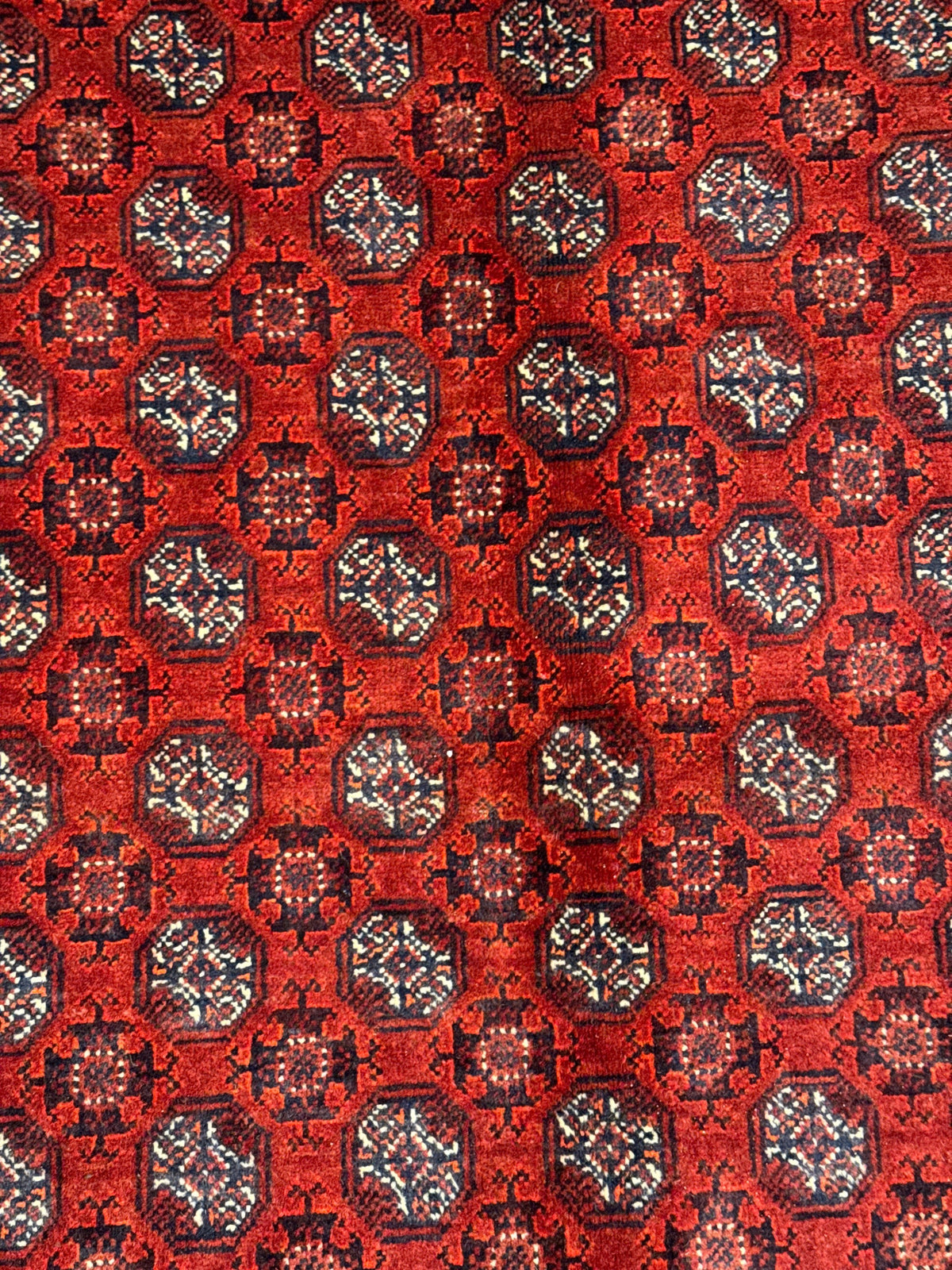 Roshnai Rug - 285 cm x 195 cm