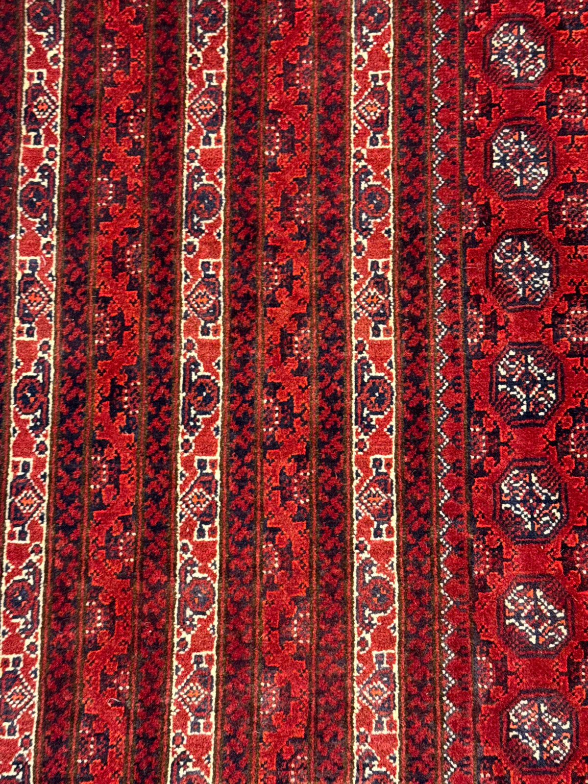 Roshnai Rug - 285 cm x 195 cm