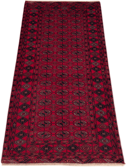 Roshnai Rug - 177 cm x 82 cm