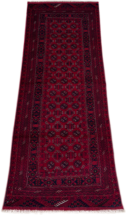 Roshnai Rug - 194 cm x 69 cm