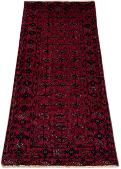 Roshnai Rug - 175 cm x 76 cm