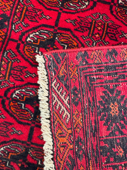 Roshnai Rug - 175 cm x 76 cm