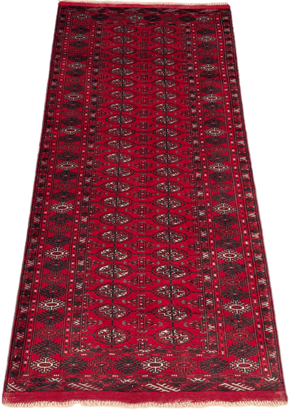 Roshnai Rug - 189 cm x 82 cm
