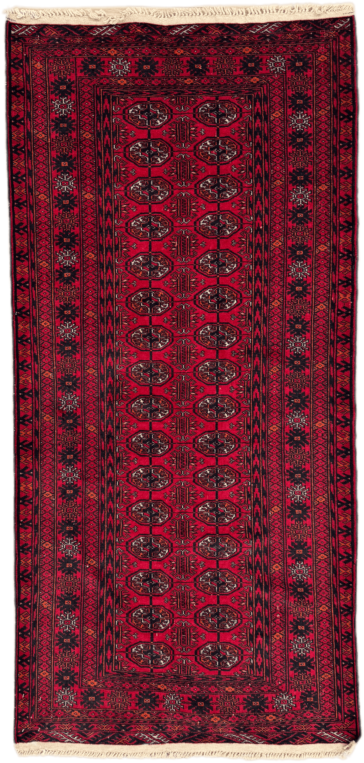 Roshnai Rug - 174 cm x 83 cm