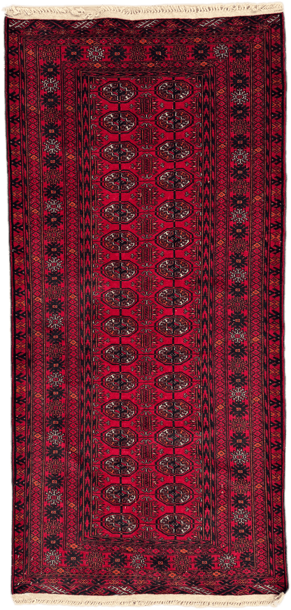 Roshnai Rug - 174 cm x 83 cm