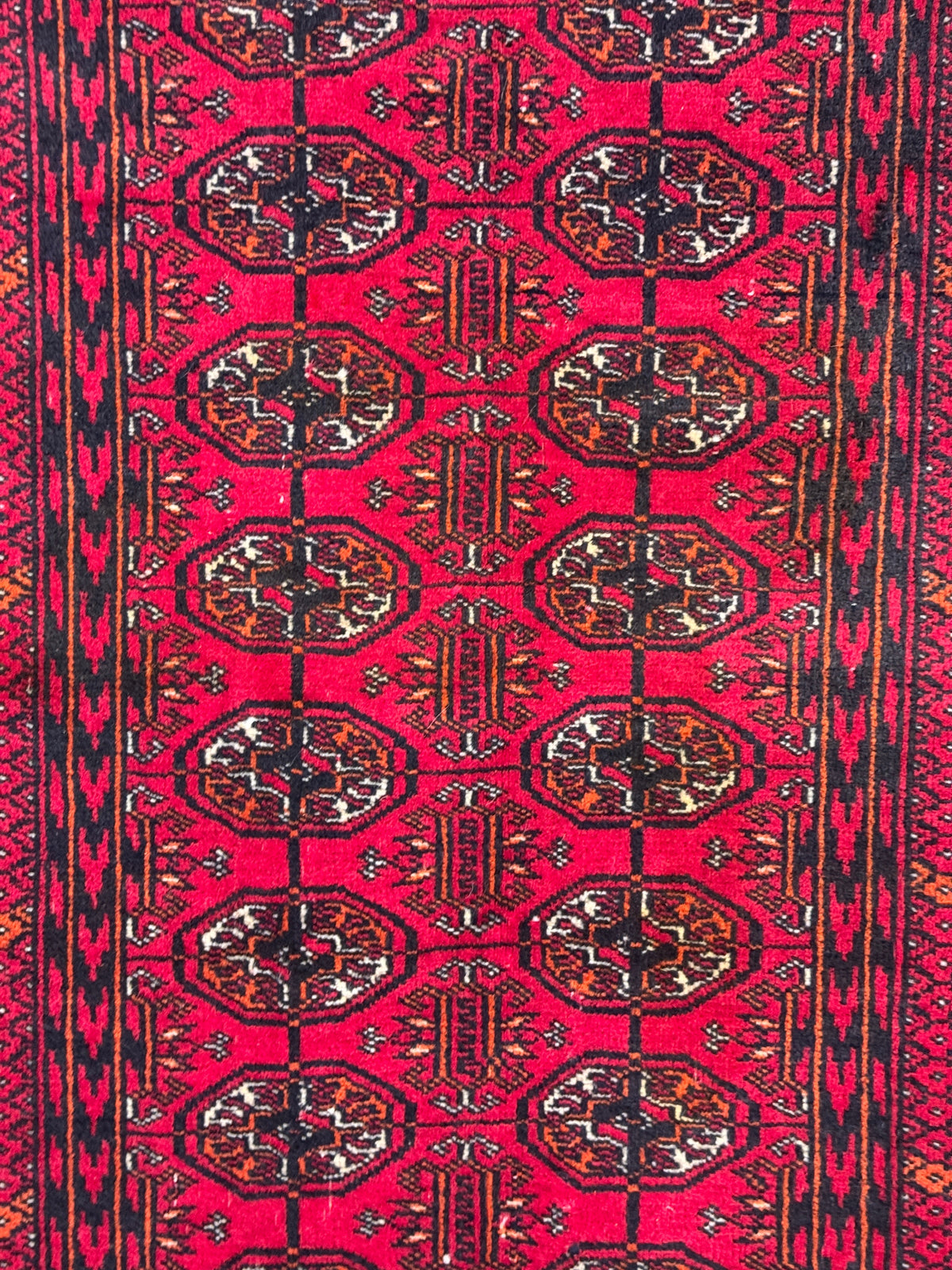 Roshnai Rug - 174 cm x 83 cm