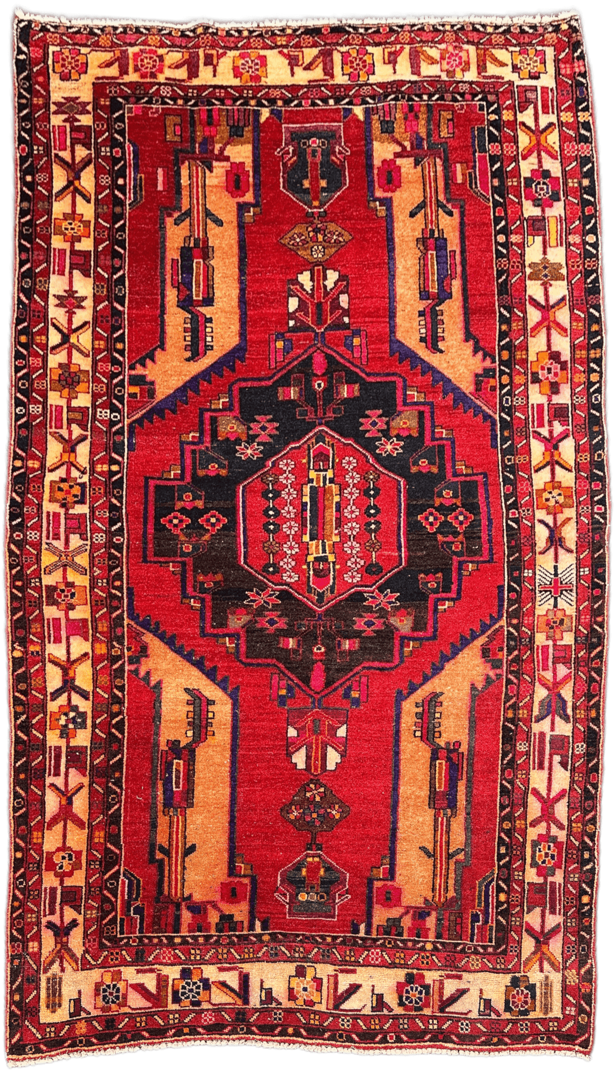 Hamadan Rug  - 308 cm x 177 cm