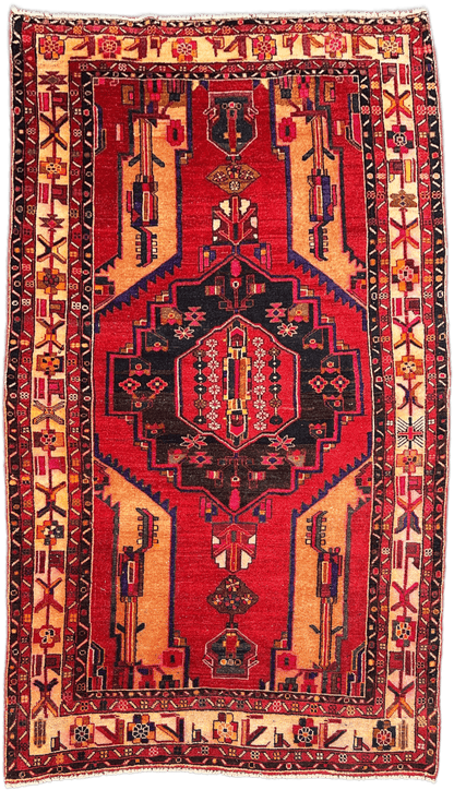Hamadan Rug  - 308 cm x 177 cm