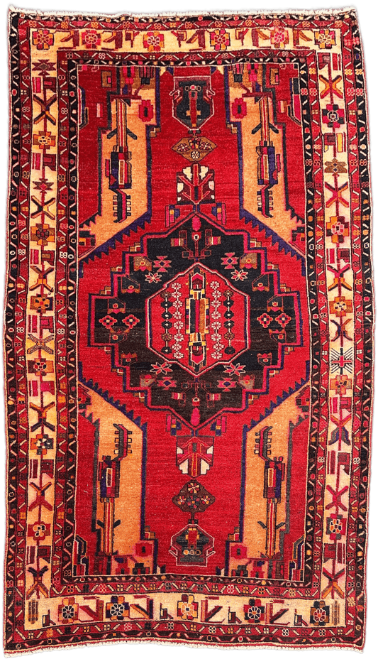 Hamadan Rug  - 308 cm x 177 cm