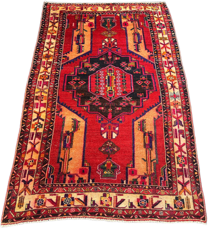 Hamadan Rug  - 308 cm x 177 cm