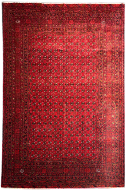 Kunduz Rug - 287 cm x 194 cm