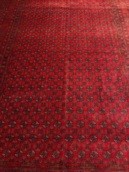 Kunduz Rug - 287 cm x 194 cm