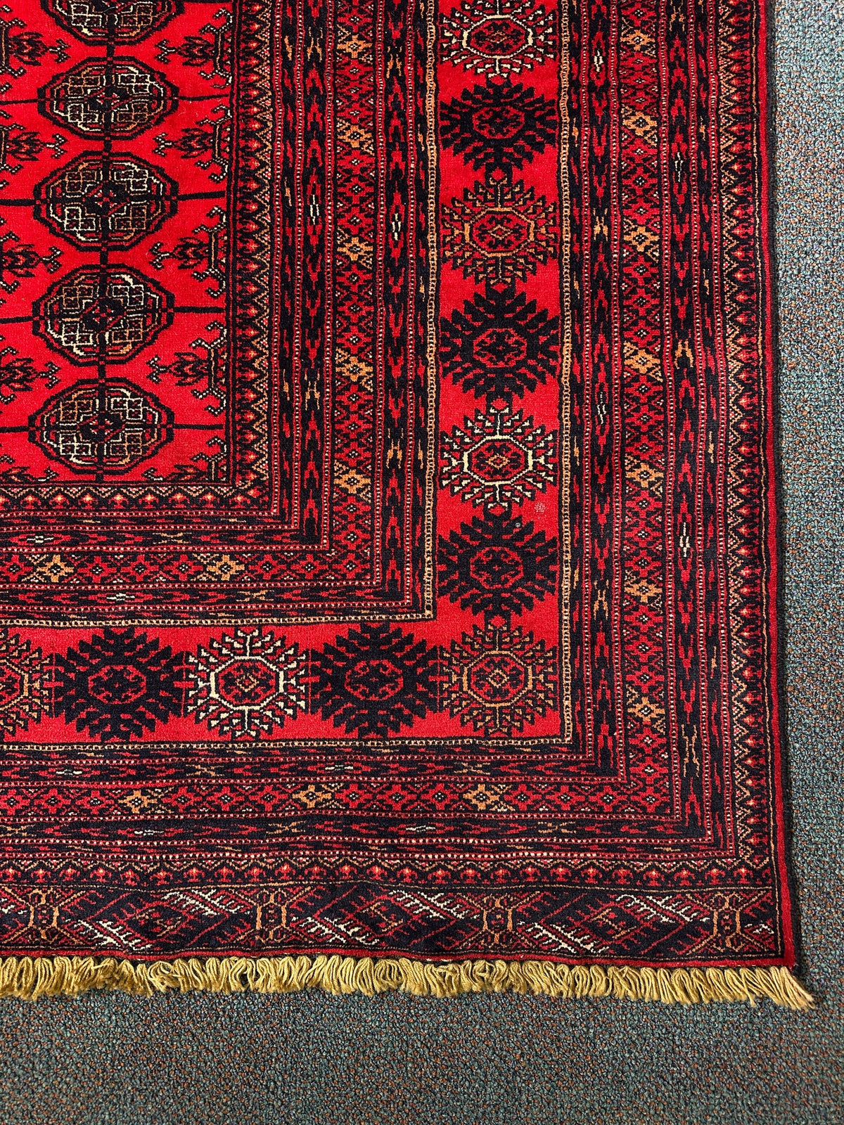 Kunduz Rug - 295 cm x 190 cm