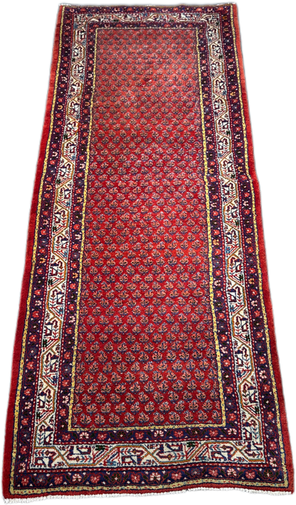 Sarouk Rug - 316 cm x 116 cm
