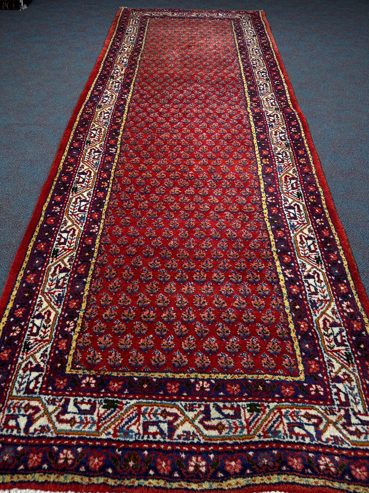 Sarouk Rug - 316 cm x 116 cm