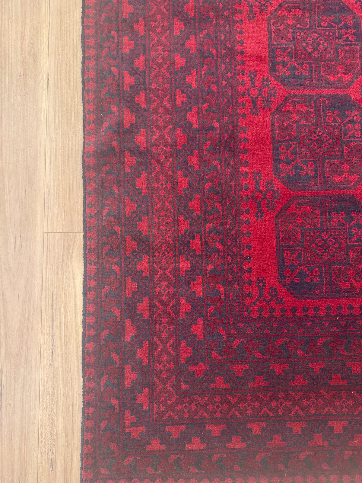 Turkoman Rug - 247 cm x 178 cm