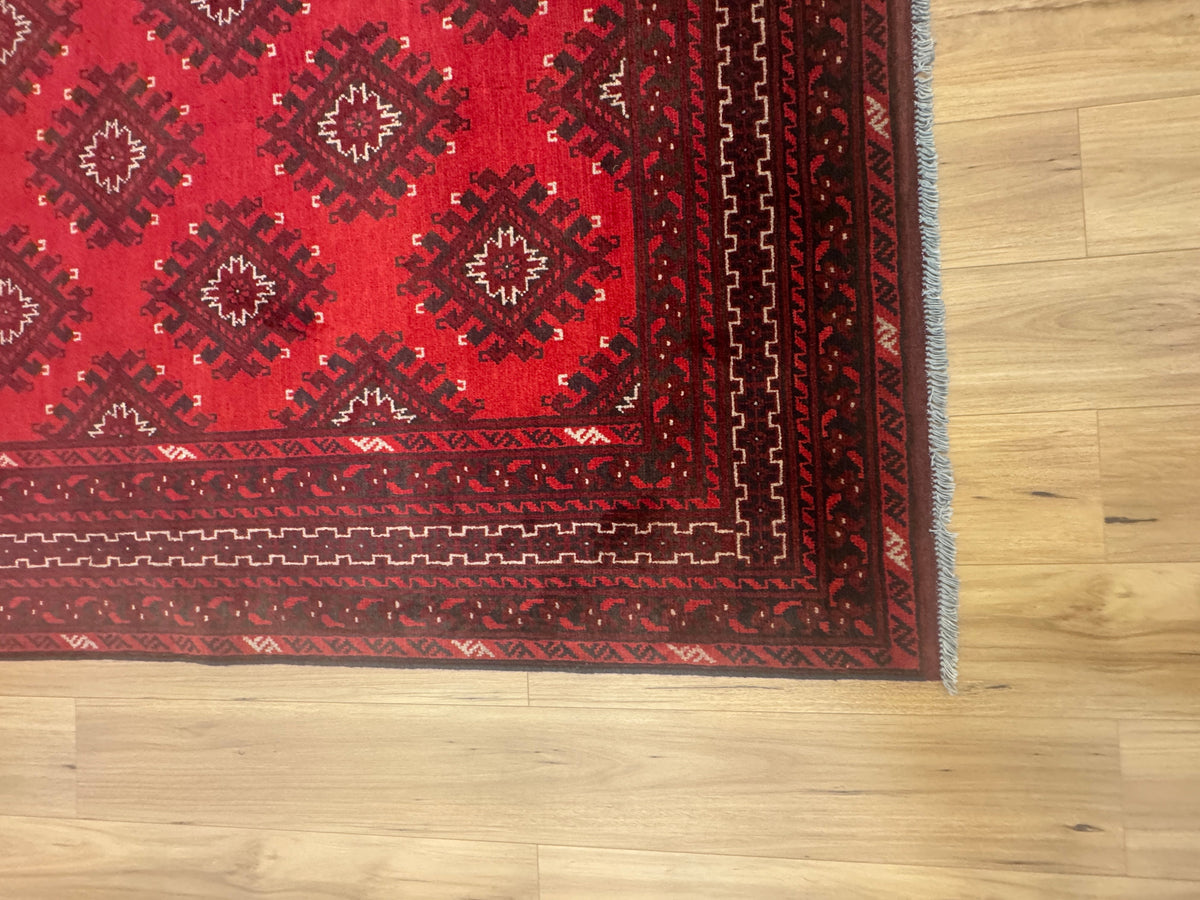 Turkoman Rug - 242 cm x 170 cm