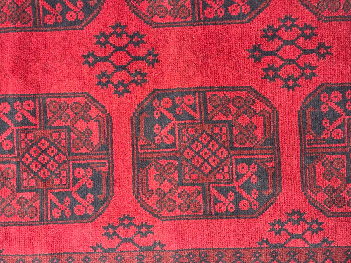 Turkoman Rug - 248 cm x 153 cm
