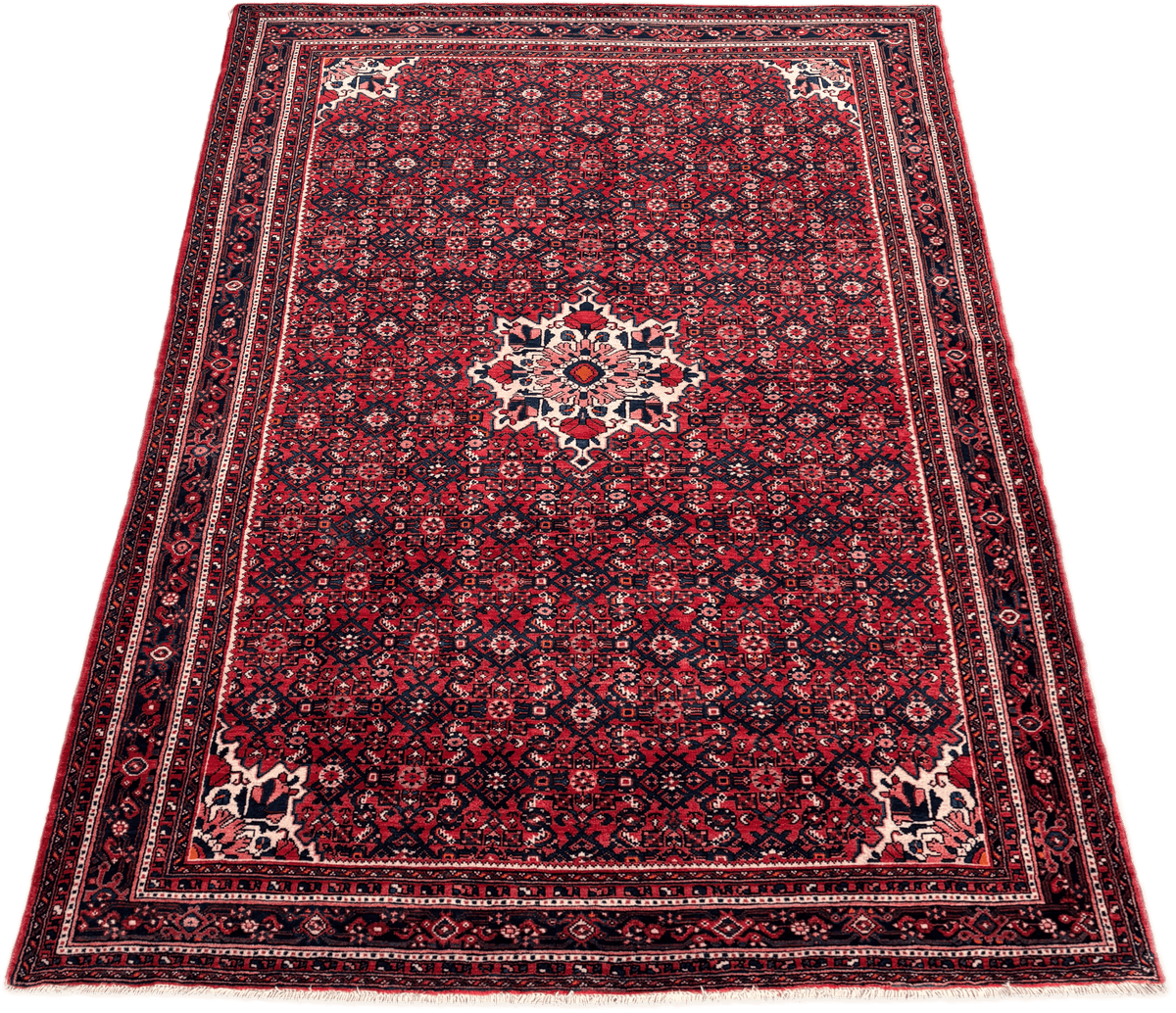 Hussainabad Rug - 305 cm x 215 cm