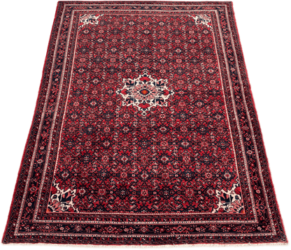 Hussainabad Rug - 305 cm x 215 cm