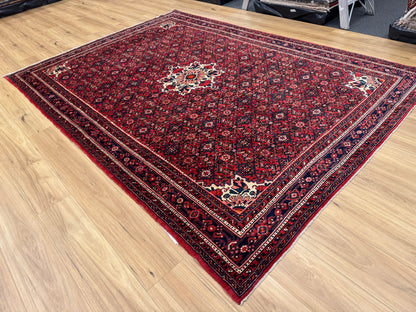 Hussainabad Rug - 305 cm x 215 cm