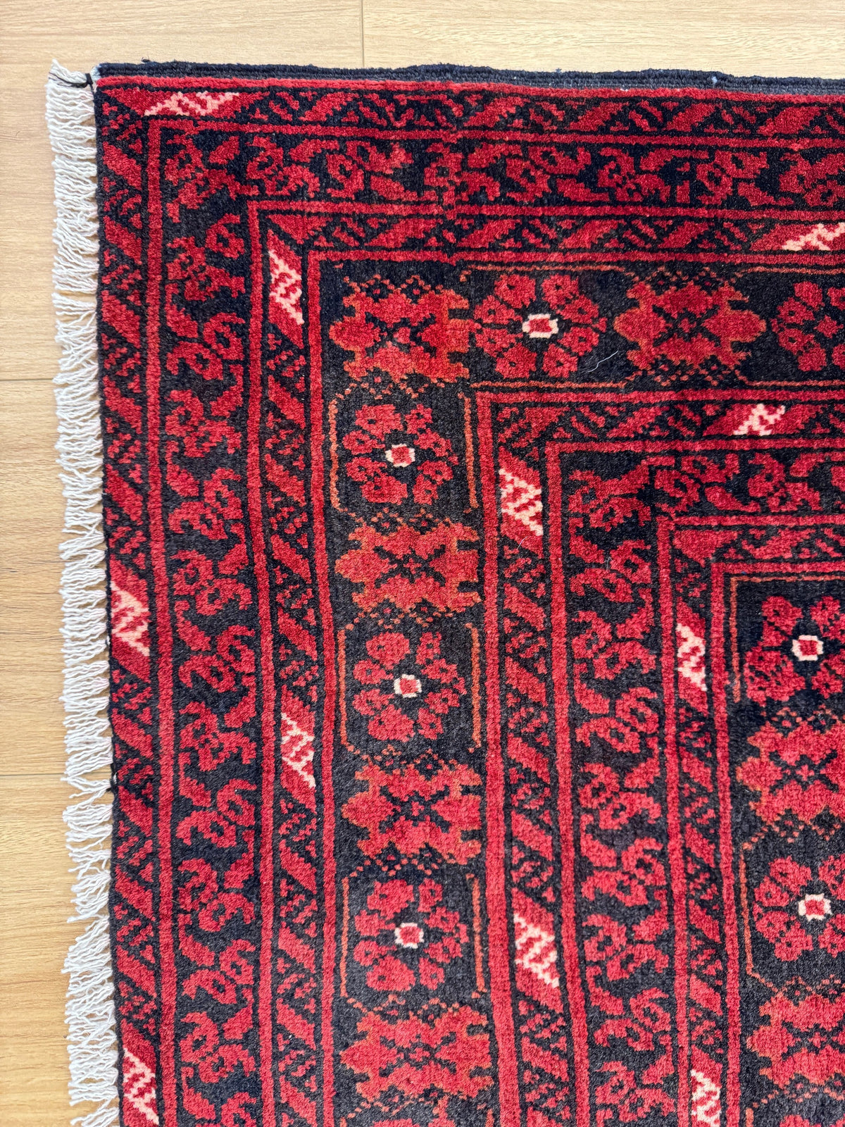 Roshnai Rug - 284 cm x 190 cm