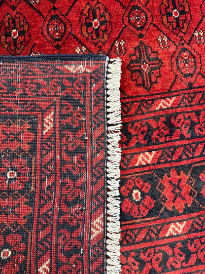 Roshnai Rug - 284 cm x 190 cm