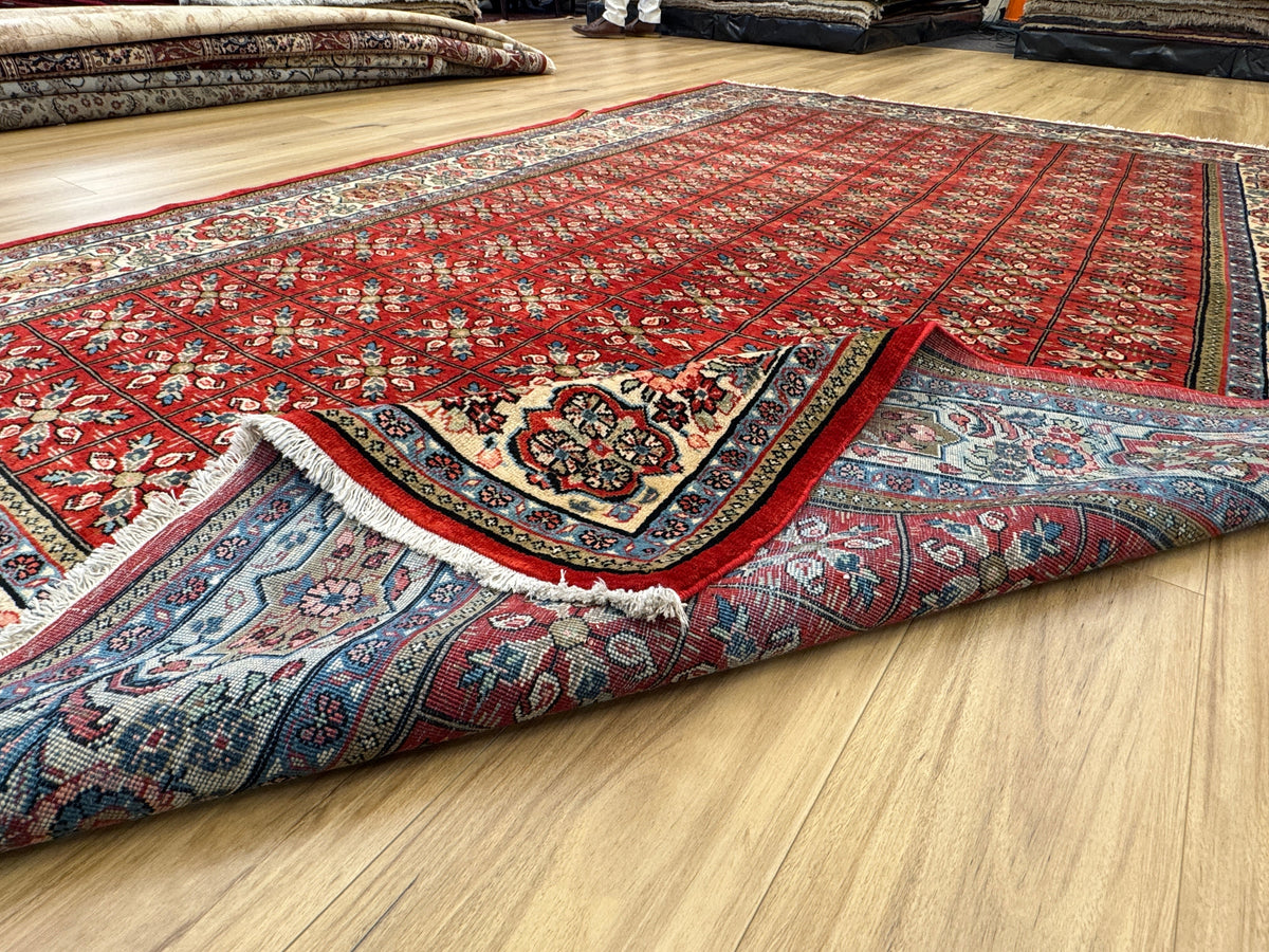 Sarouk Rug - 314 cm x 208 cm