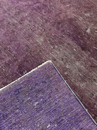 Overdye Rug  - 480 cm x 272 cm