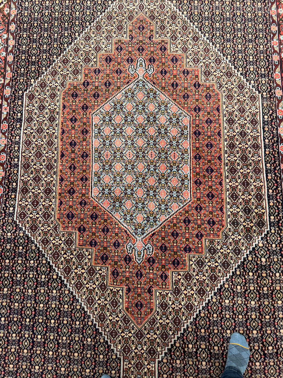 Bidjar Rug - 290 cm x 202 cm
