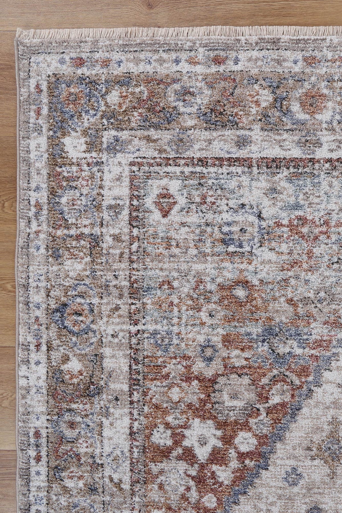 Maryland Shiraz Multi Traditional Soft Rug